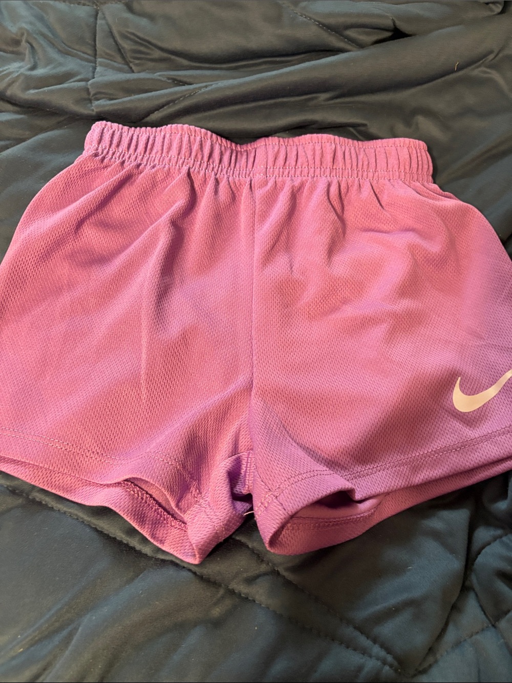 Nike Girls' Purple  Athletic Shorts with Swoosh